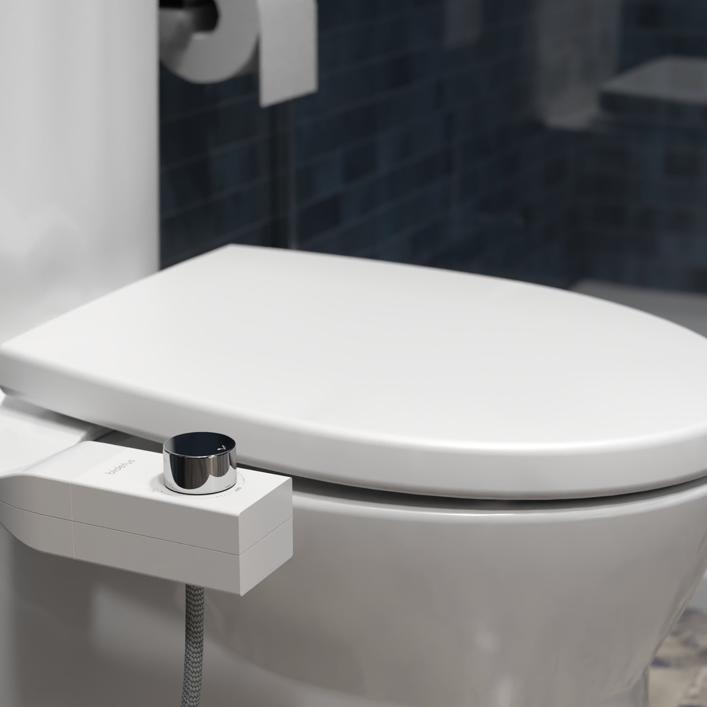 Bidet Bidetus Cromado