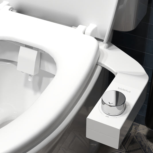 Bidet Bidetus Cromado